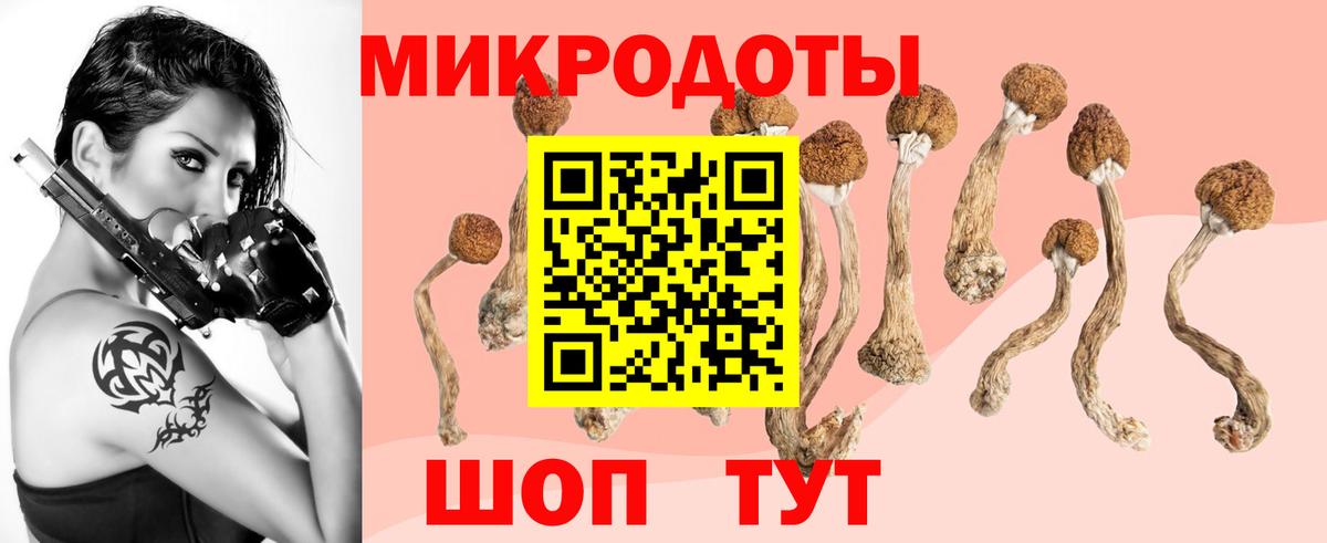 Галлюциногенные грибы Psilocybine cubensis Югорск